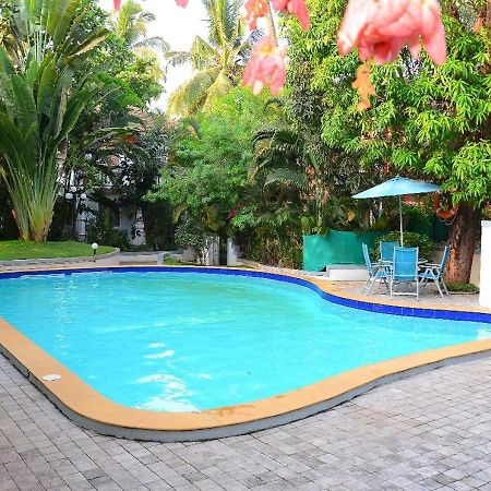 Villa Samaara3 Condolim Goa 500Mts From Beach Кандолим Екстериор снимка